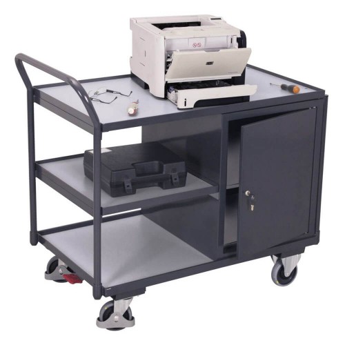 Servante d'atelier ESD 250 kg &agrave; 1 placard